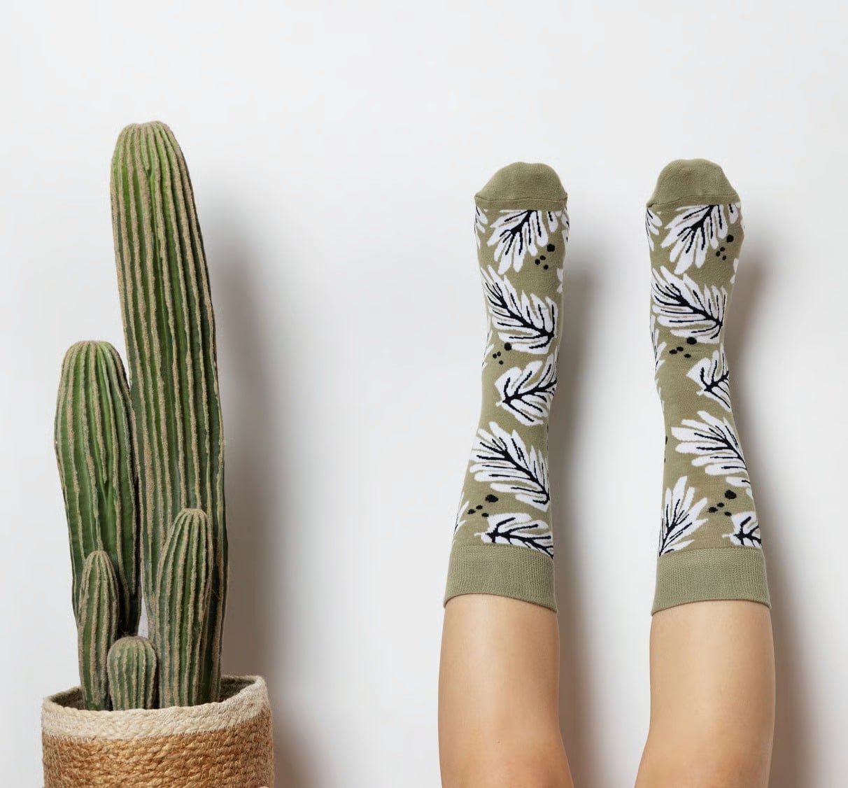 Imagen de la categoría de productos