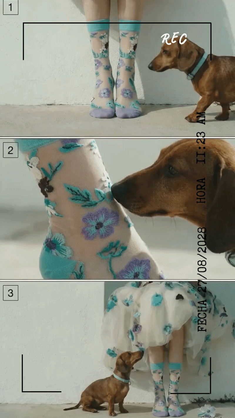 Calcetines Botanic Pup con un perrito
